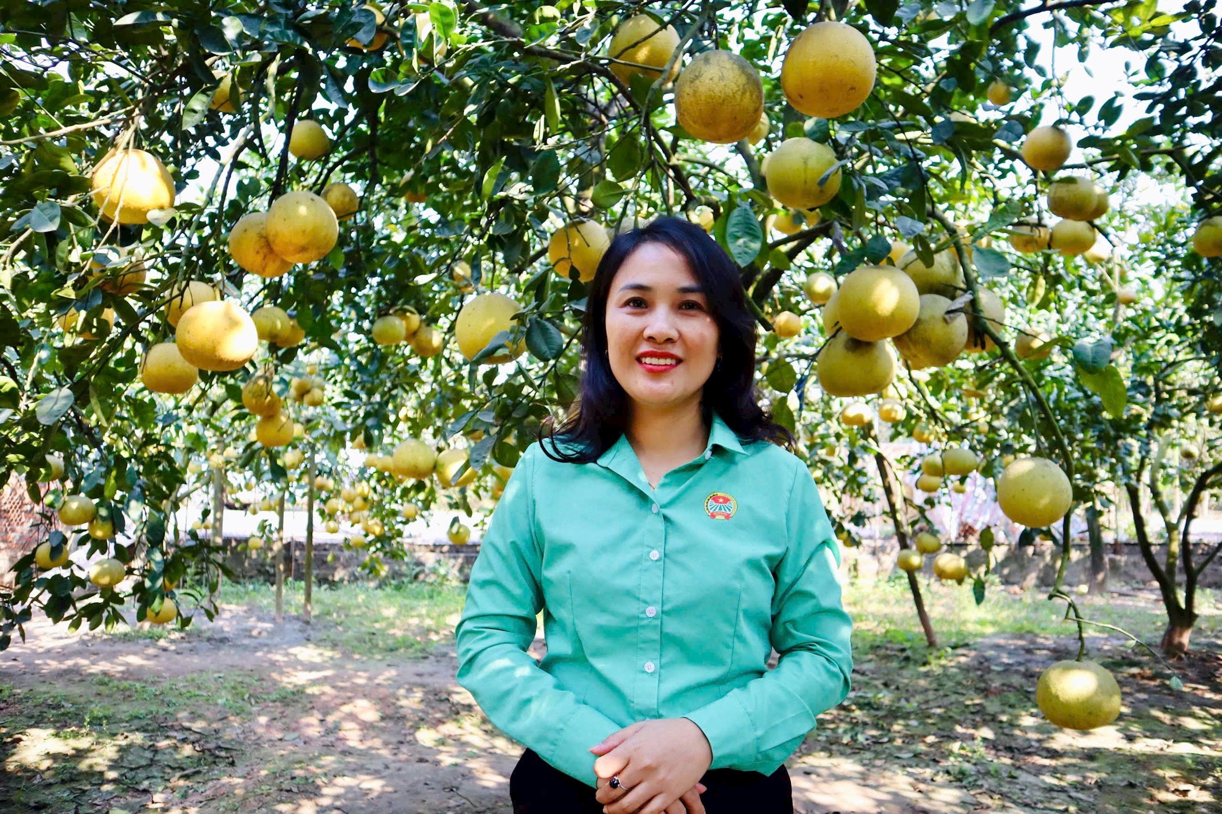 dan-phuong.jpg
