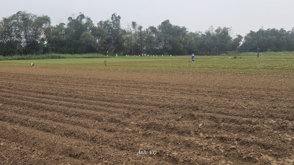 Siết chặt hoạt động khai thác khoáng sản trái phép ven sông Thu Bồn