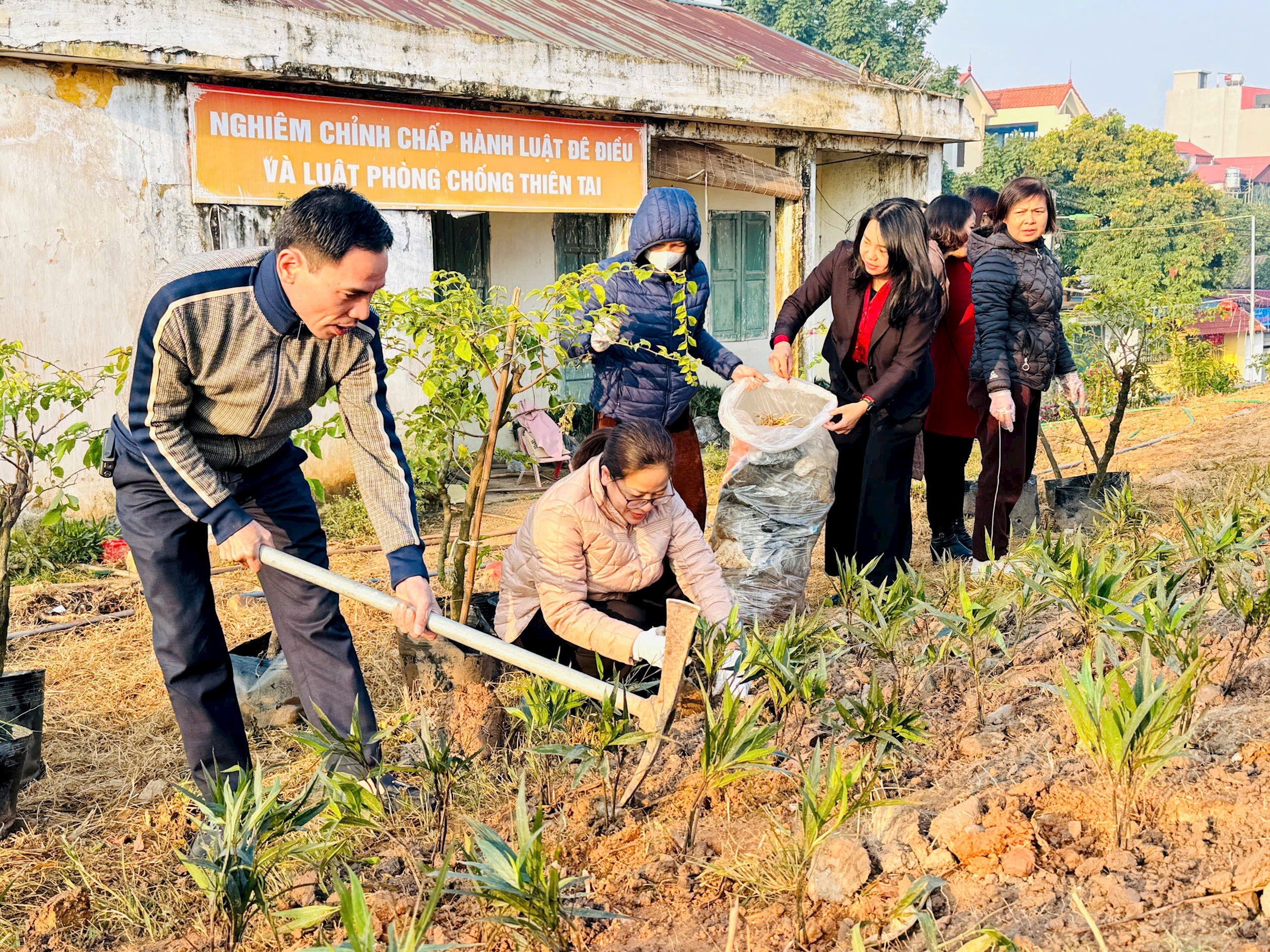 trong-hoa5.jpg