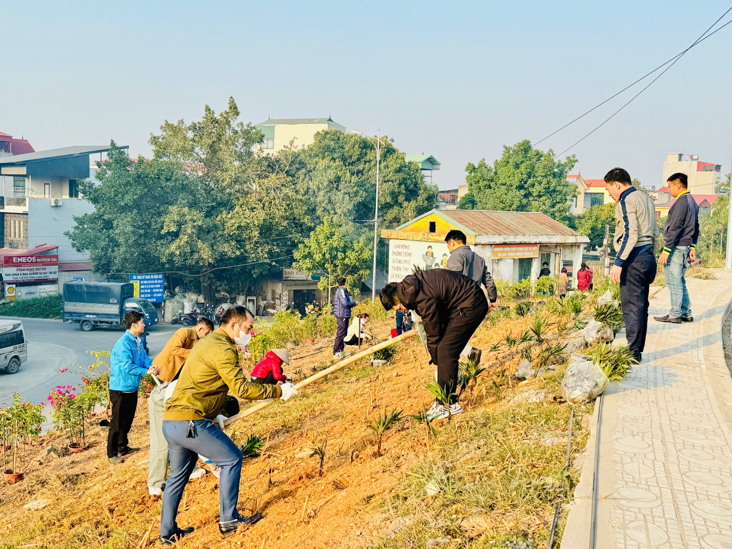 trong-hoa6.jpg