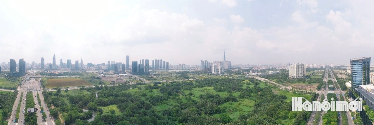 W_1.tphcm-10-1.jpg