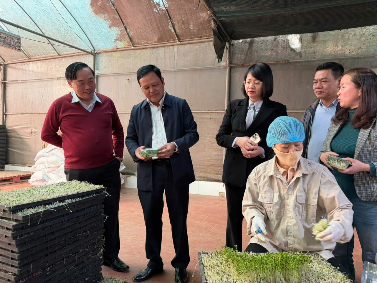 thanh-ha-1.jpg
