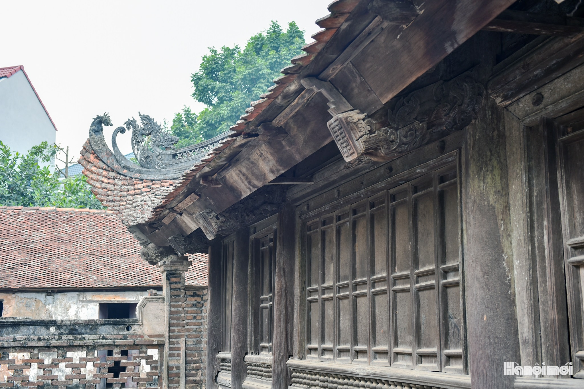 W_dsc_5333.jpg