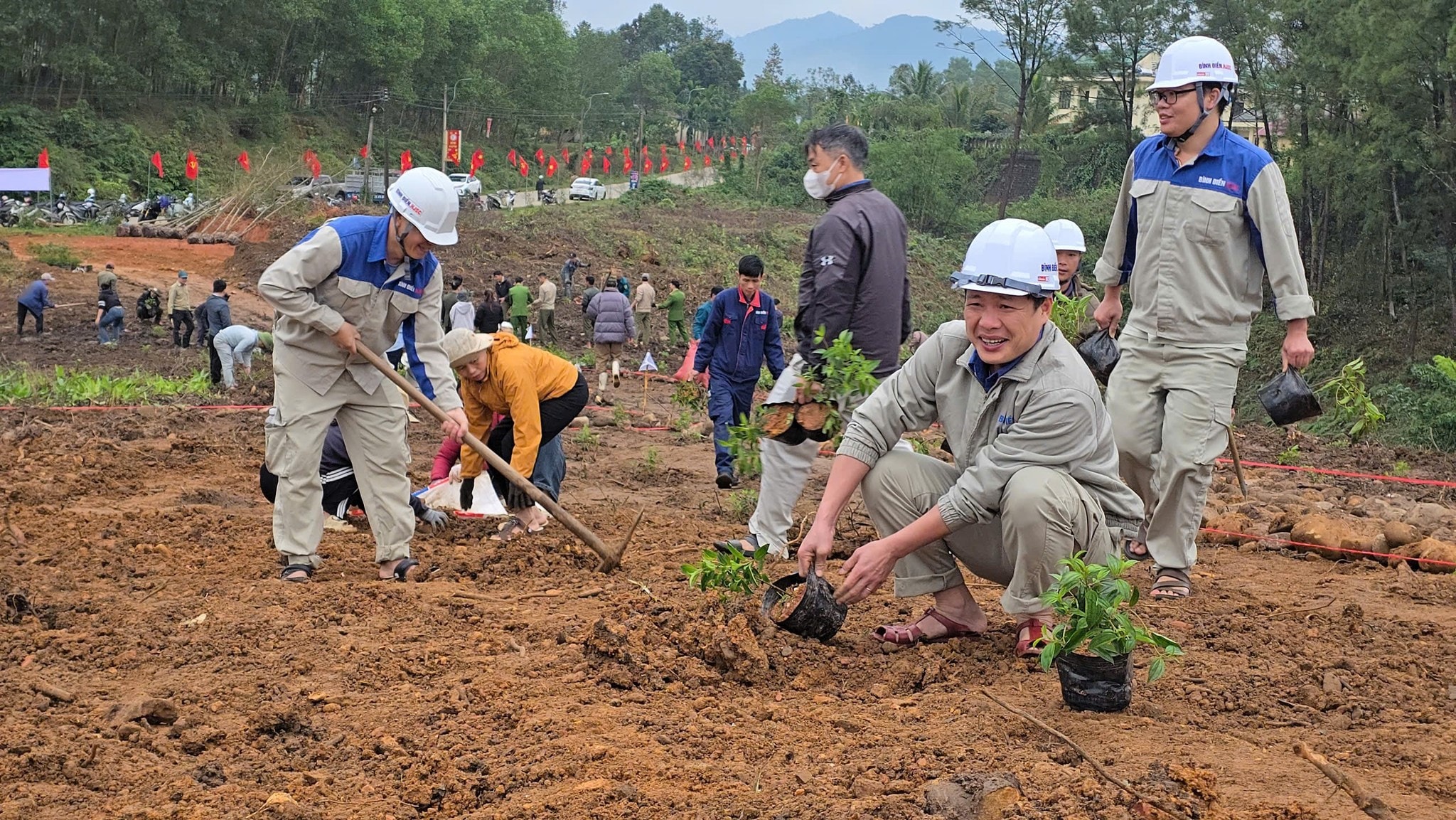 a254.binh-dien.jpg
