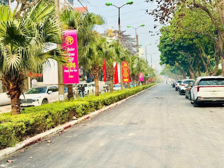 thanh-tri2.jpg