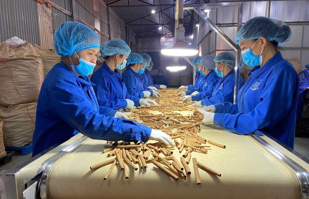 システムの完成は、経済と社会の発展を促進するための戦略的躍進の一つです。 - anh-hai-yen.jpg