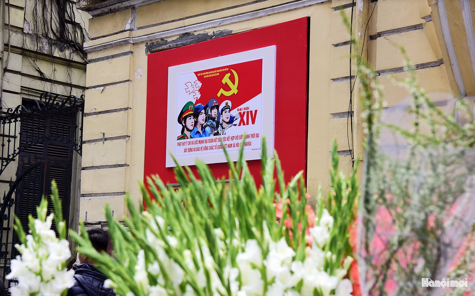 1 Sắc hoa về trên phố càng làm sinh động thêm không khí chào mừng Đại hội đại biểu toàn quốc lần thứ XIV của Đảng.