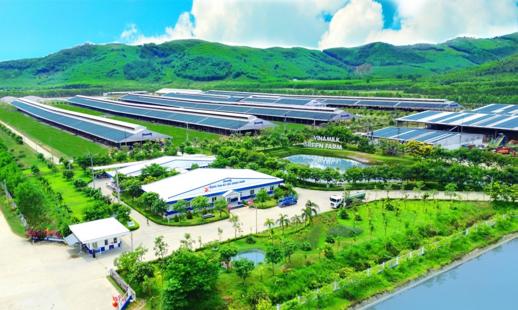 Mô hình trang trại sinh thái Vinamilk kết hợp chăn nuôi công nghệ cao và bảo vệ môi trường. Ảnh: Vi Nam