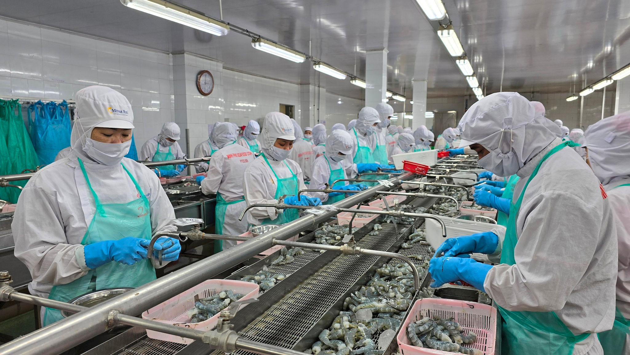 a317.ca-mau.jpg