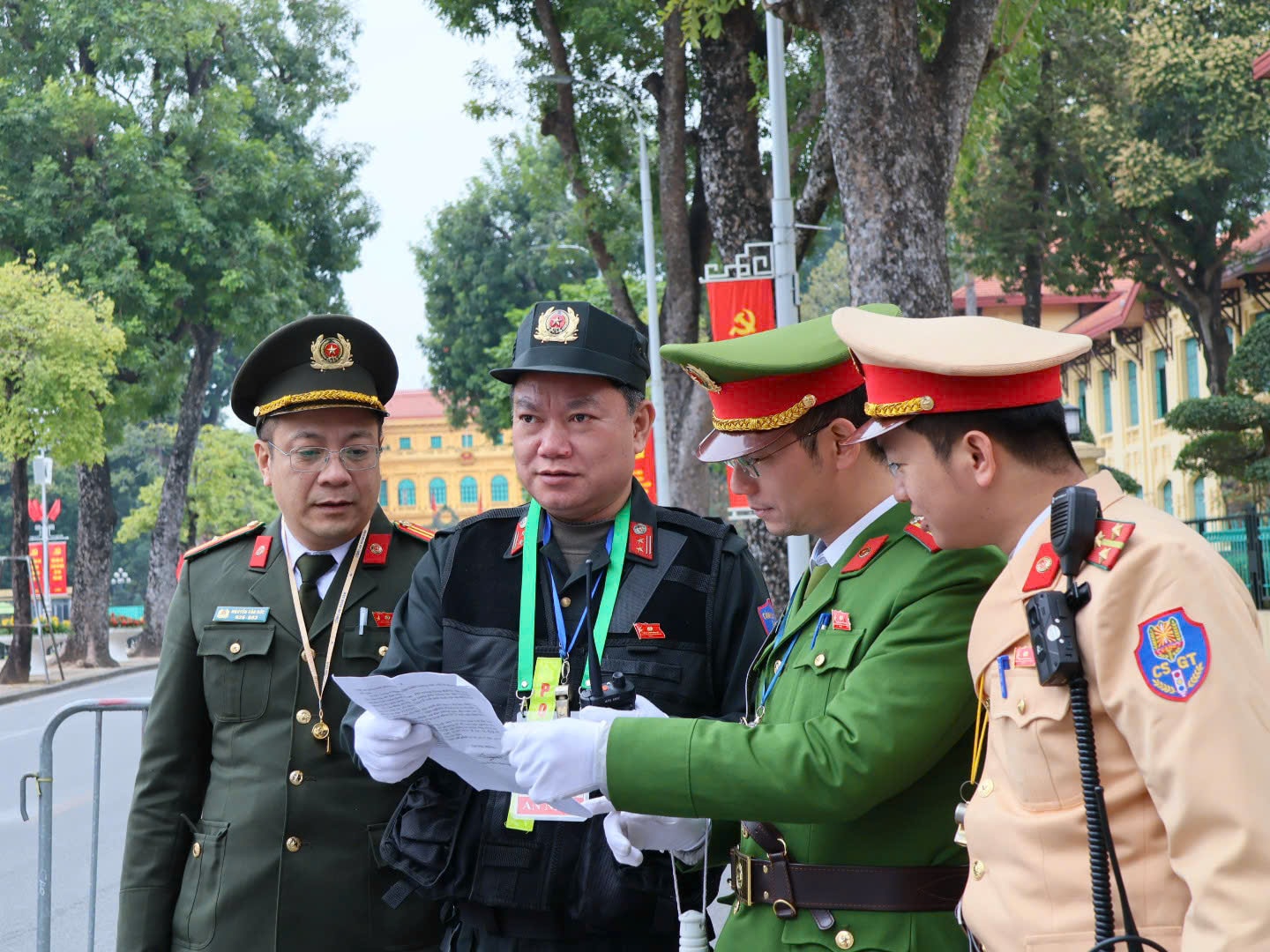 catp5.jpg