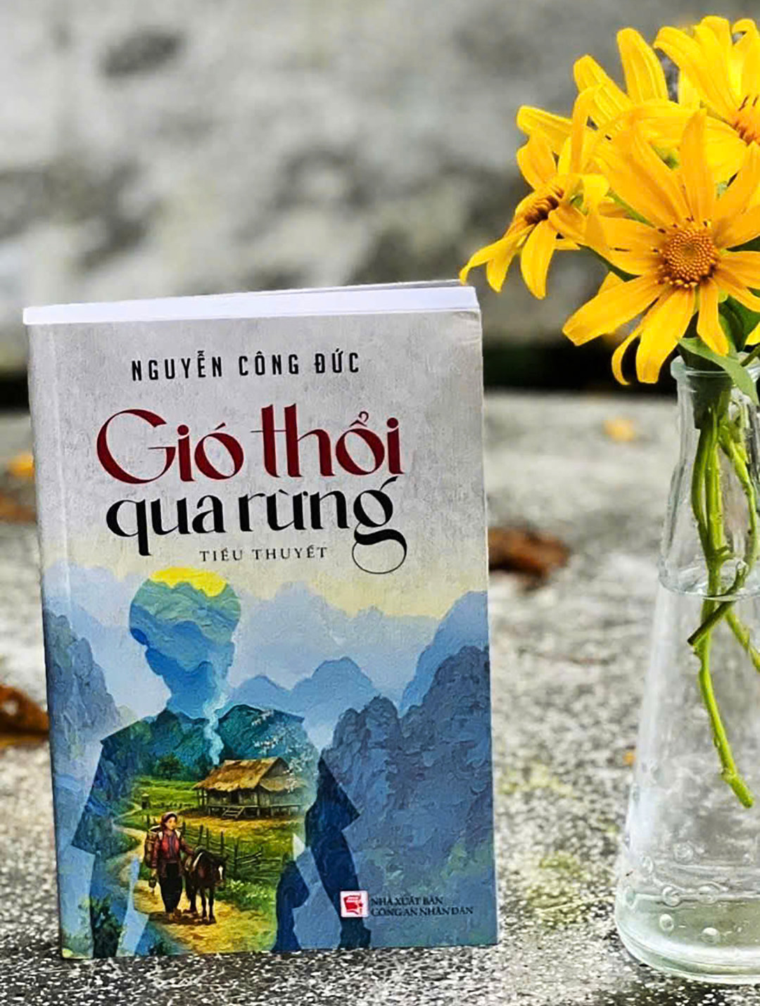 gio-thoi-qua-rung.jpg