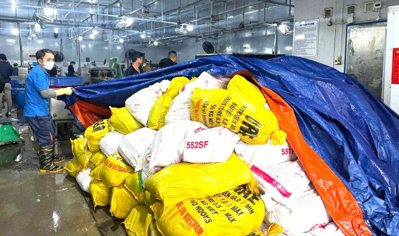 Hơn 60 tấn lòng lợn cấp đông nhiều tháng, biến màu, bốc mùi, không rõ nguồn gốc bị phát hiện tại địa điểm kinh doanh của Công ty TNHH Sản xuất và Thương mại Dũng Phát.