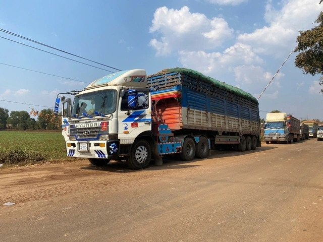 Thủ tướng chỉ đạo tháo gỡ vướng mắc trong triển khai Nghị định 46/2026/NĐ-CP về an toàn thực phẩm- Ảnh 1. Thủ tướng chỉ đạo tháo gỡ vướng mắc trong triển khai Nghị định 46/2026/NĐ-CP về an toàn thực phẩm- Ảnh 1.