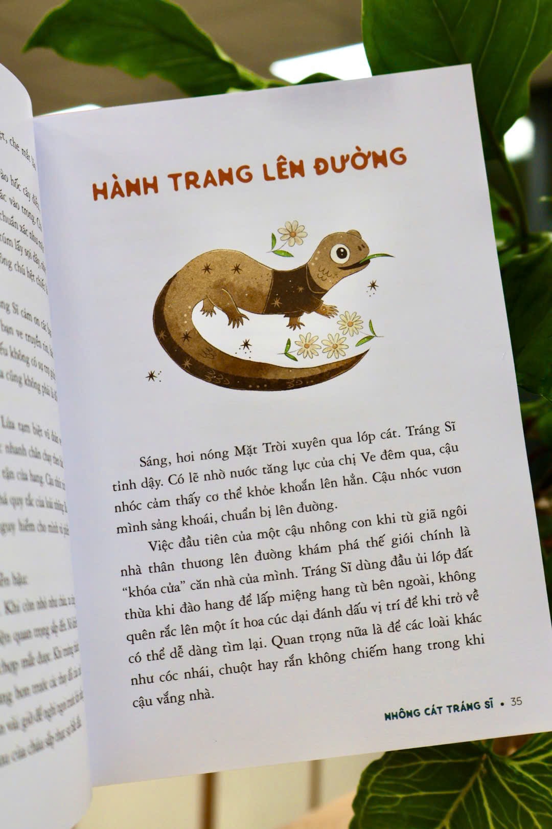 nhong-cat-trang-si-2.jpg