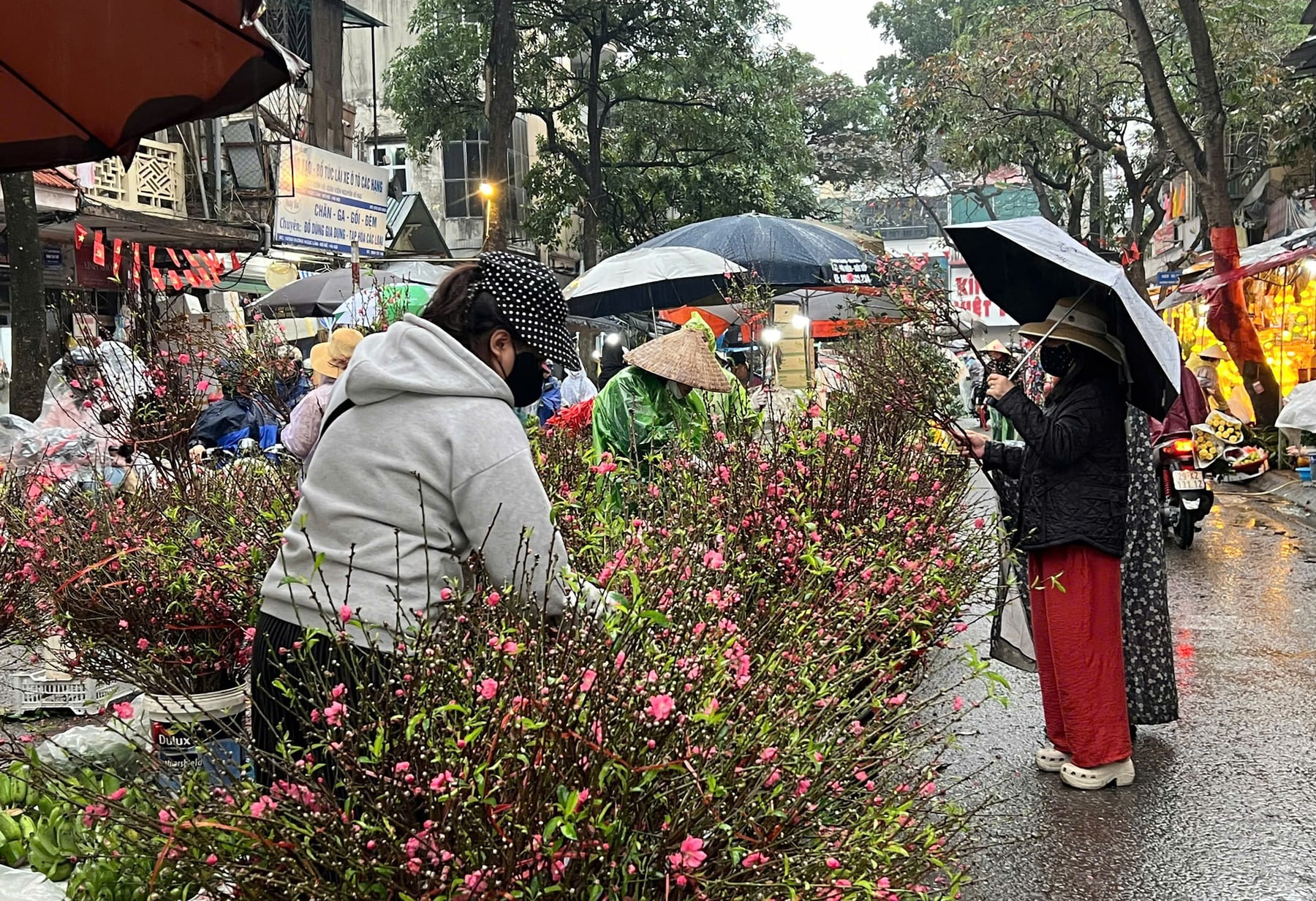 Kwiaty brzoskwini sprzedawane są na wielu targowiskach w Lam Phuong Bo z okazji oddawania czci Bogu Kuchni. - anh-lam-giang.jpg