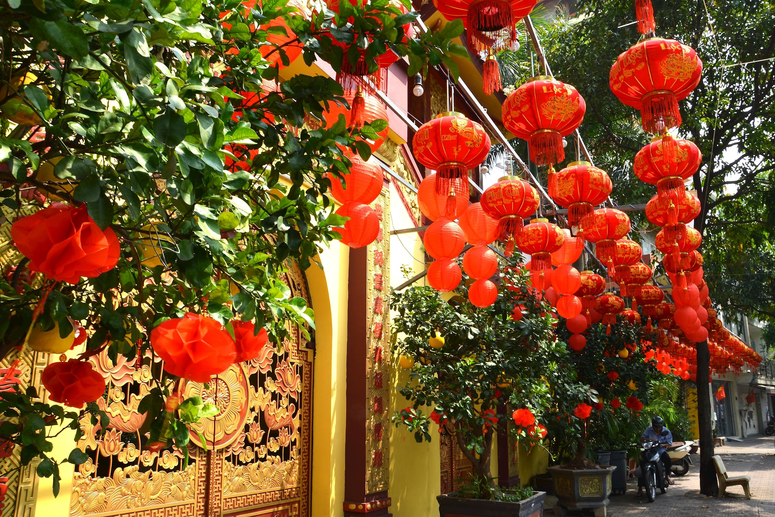 lam_6301.jpg