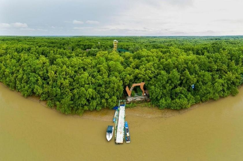 Gió biển mát rượi, rừng ngập mặn xanh thẳm tạo nên một background mà chỉ cần giơ máy lên là các cặp đôi đã có ngay ảnh đẹp 