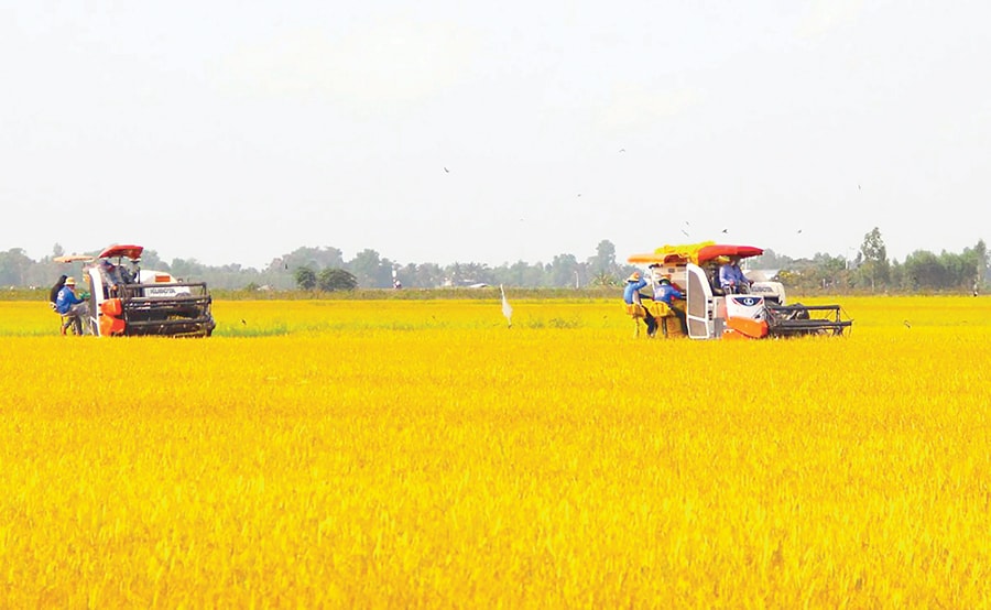 58-khoan-10.jpg