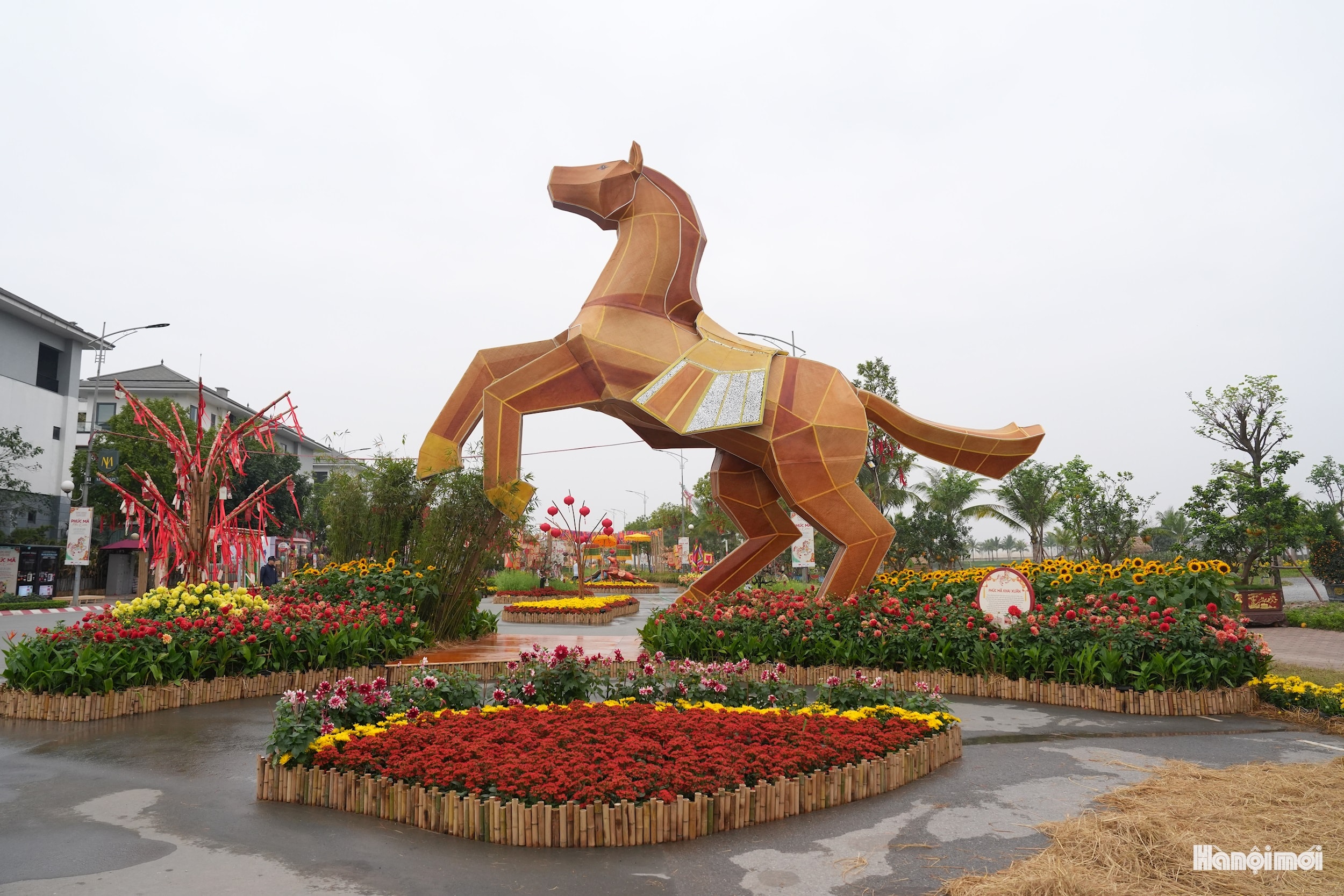 W_dsc04308.jpg