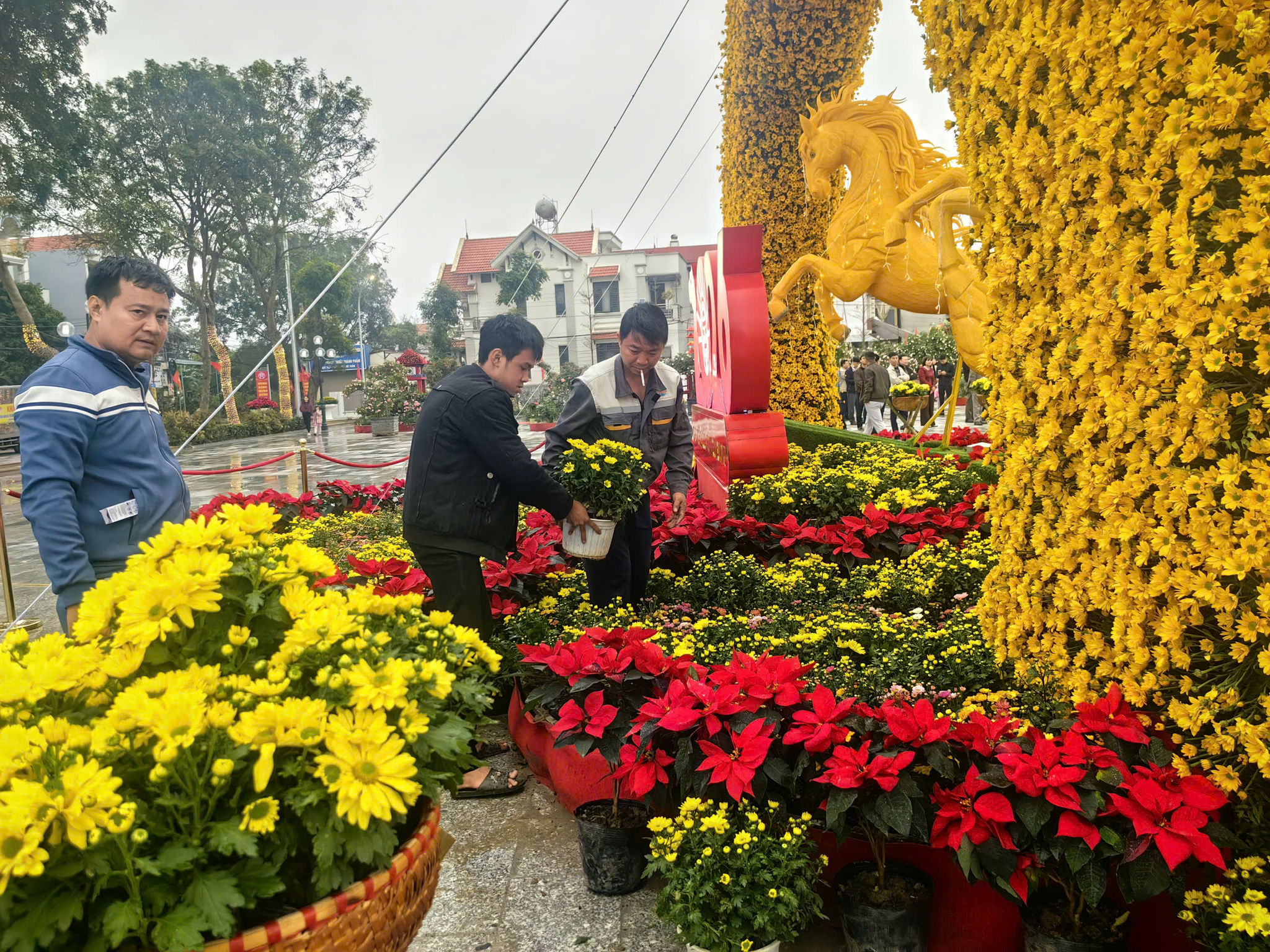 tien-thang11.jpg