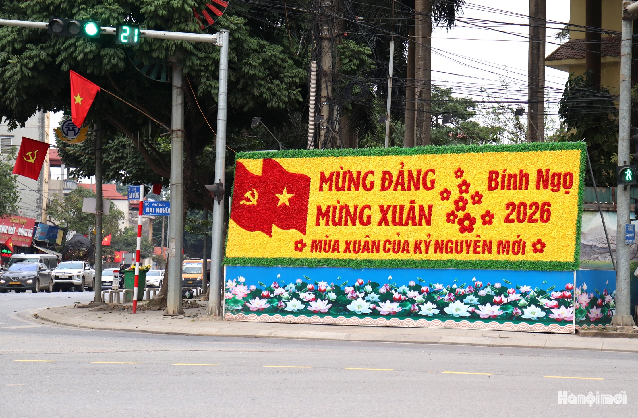W_d-dai-nghia-md1.jpg