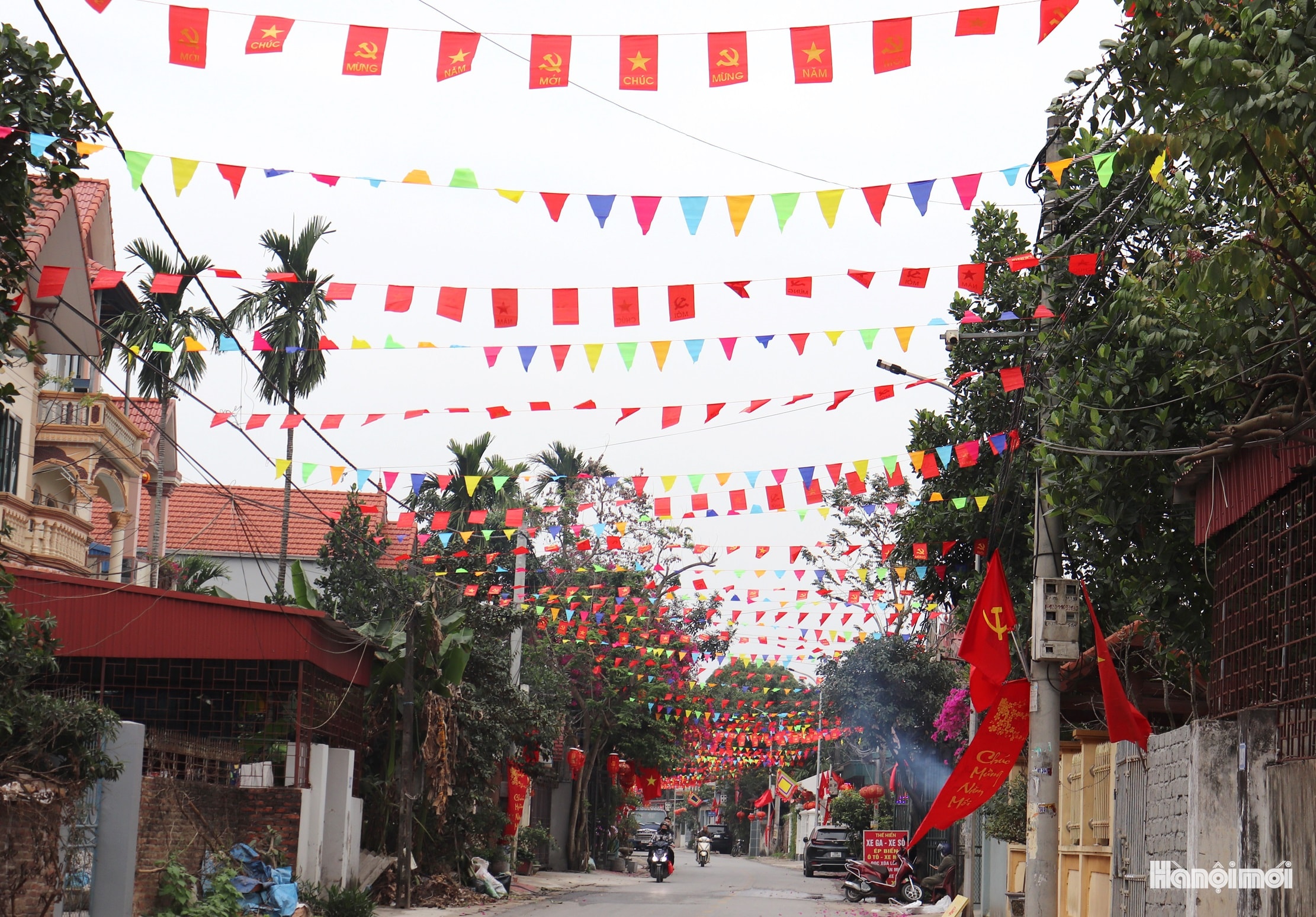 W_d-phu-luu-te-md.jpg