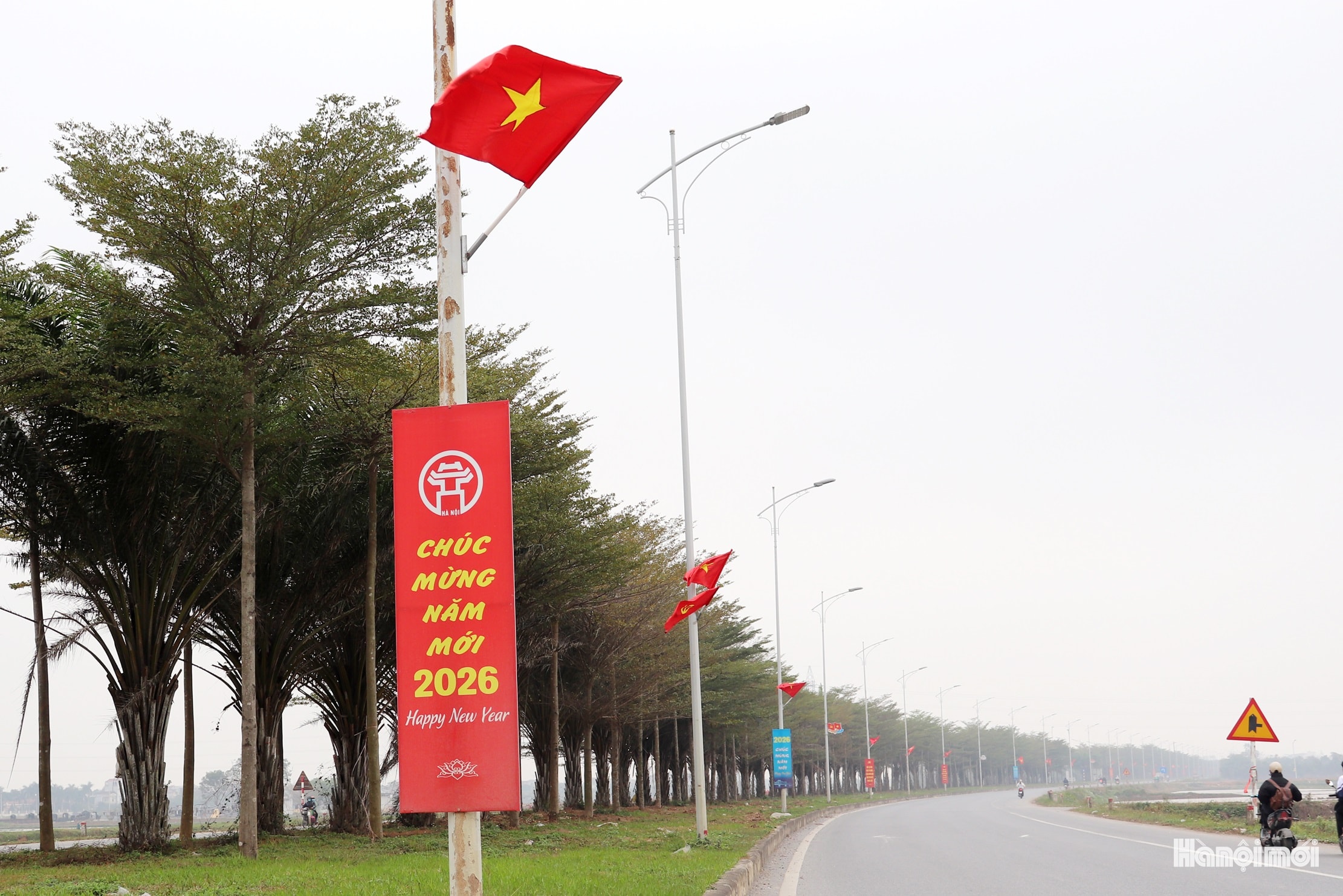 W_x-thanh-oai.jpg