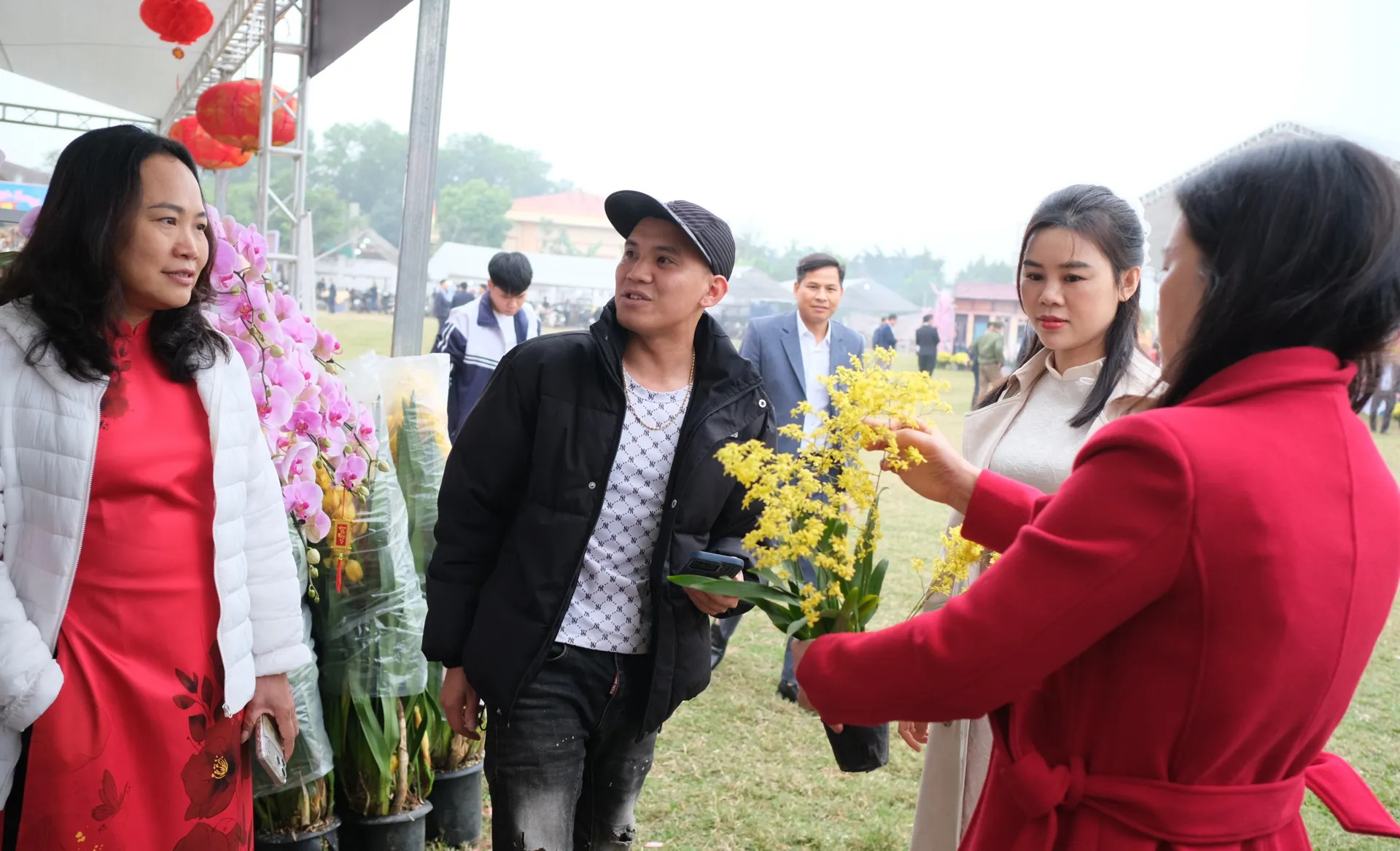 Hình ảnh 4