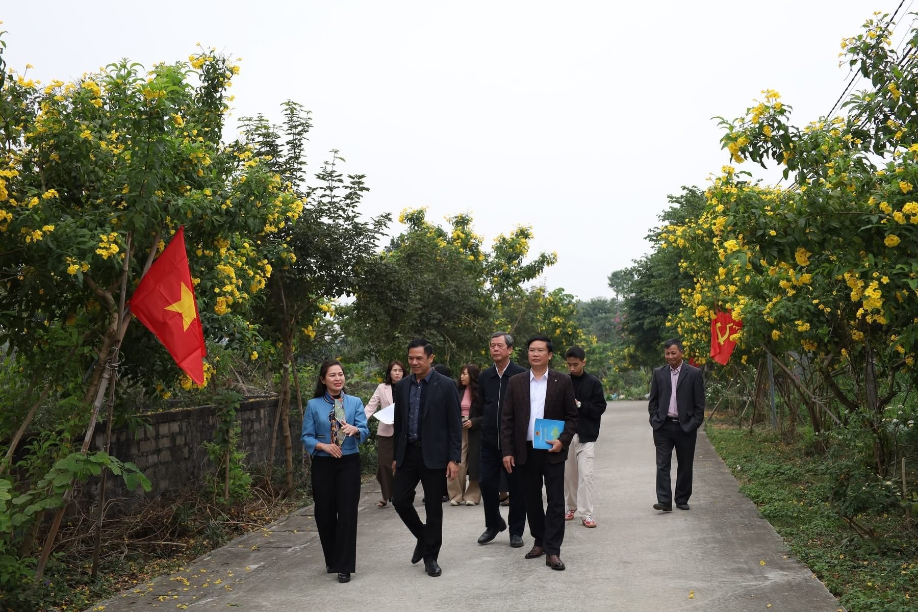 سووی-های (1).jpg