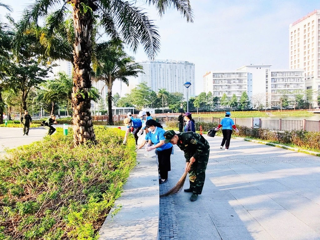 dai-mo-2-.jpg
