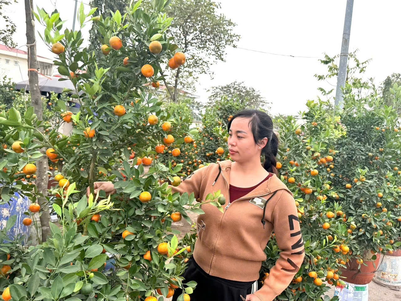 ngoc-hoi-4.jpg