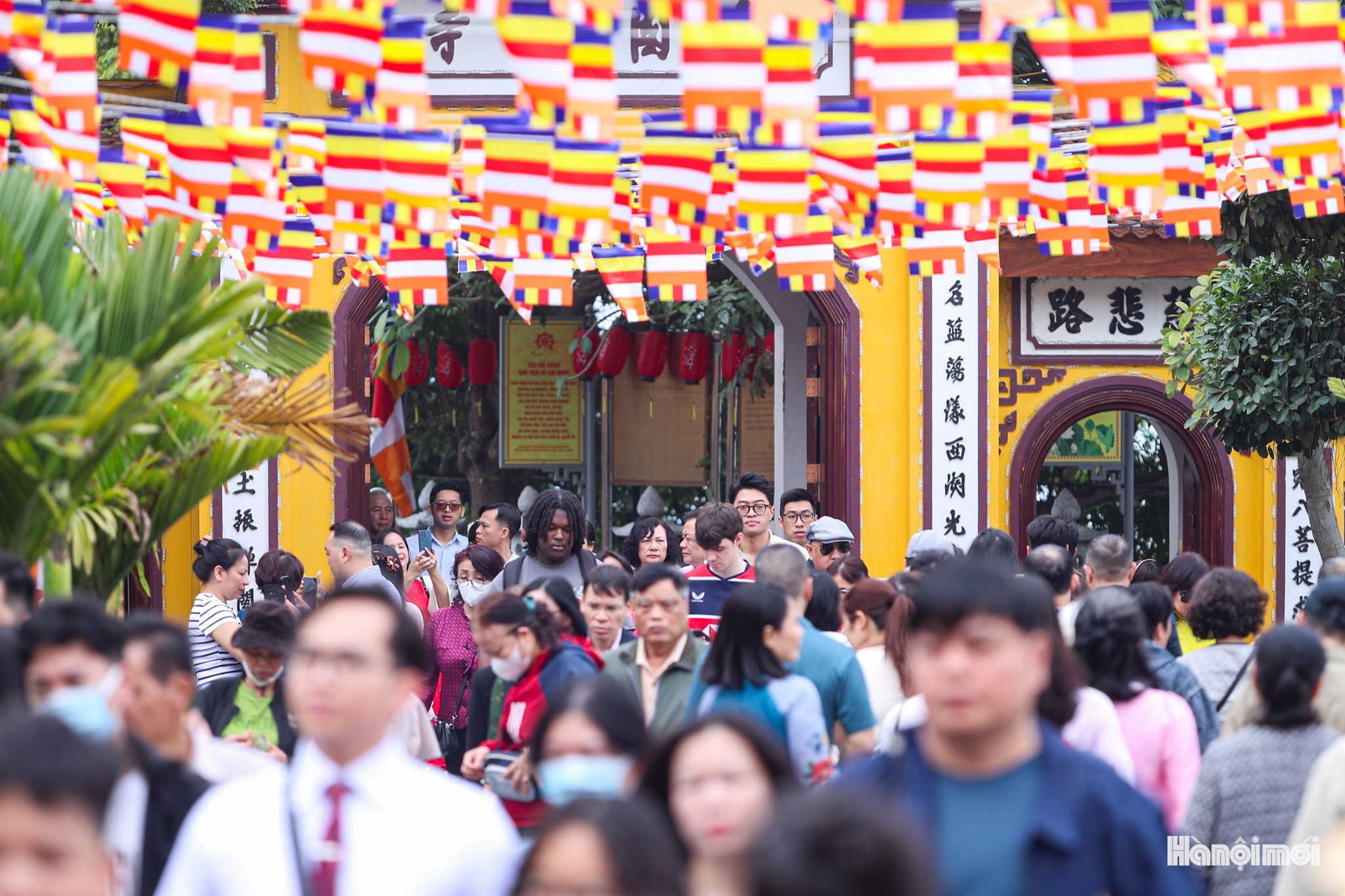 W_nguoi-dan-di-le-dau-nam-10.jpg