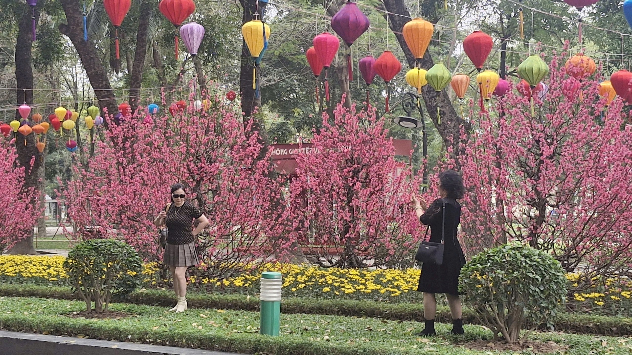 Không gian đẹp dành cho check-in.