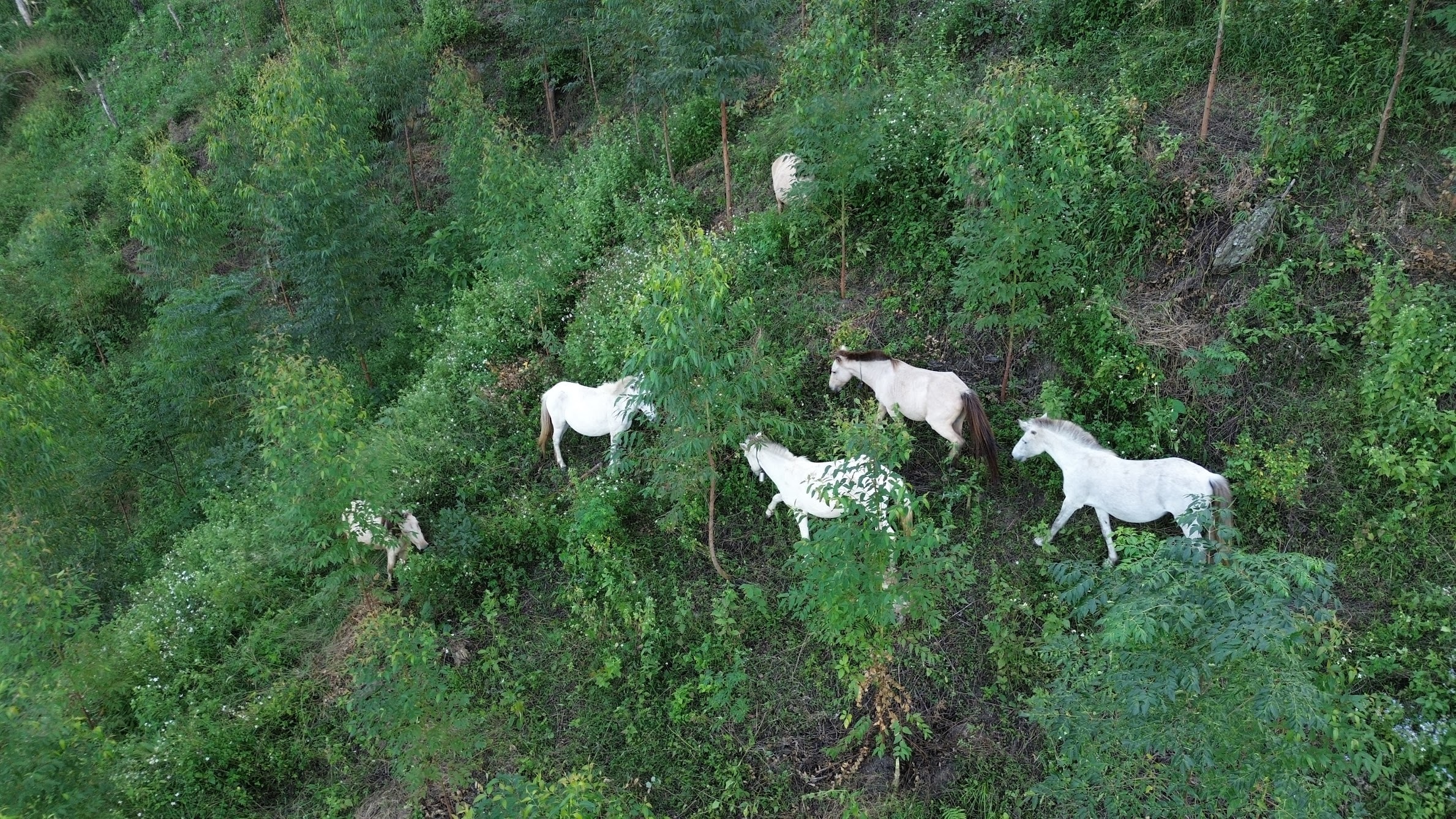 dji_0843.jpg