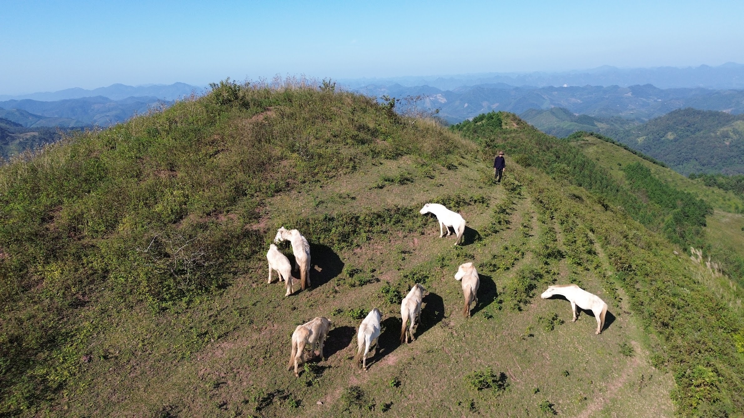 dji_0863.jpg