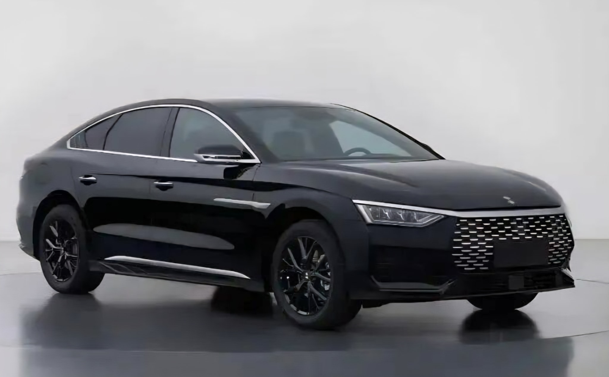 byd_2.jpg