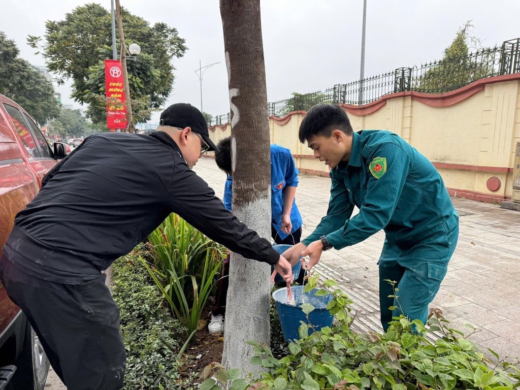 Nel quartiere di Phuong Liet, i giovani hanno imbiancato i tronchi degli alberi e rimosso le pubblicità abusive in via Le Trong Tan, abbellendo il paesaggio urbano prima e dopo il Tet (Capodanno vietnamita).
