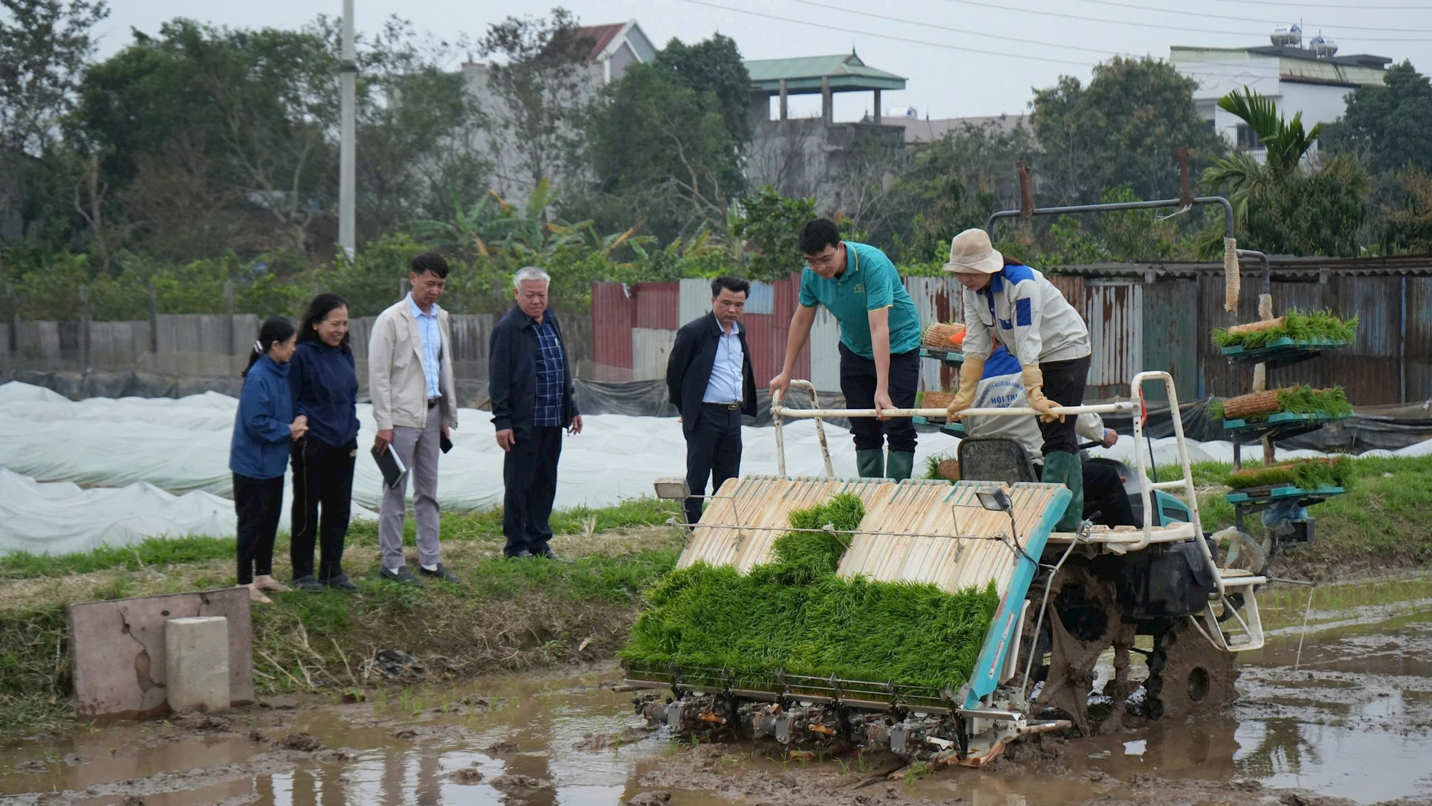 lien-ha-1.jpg