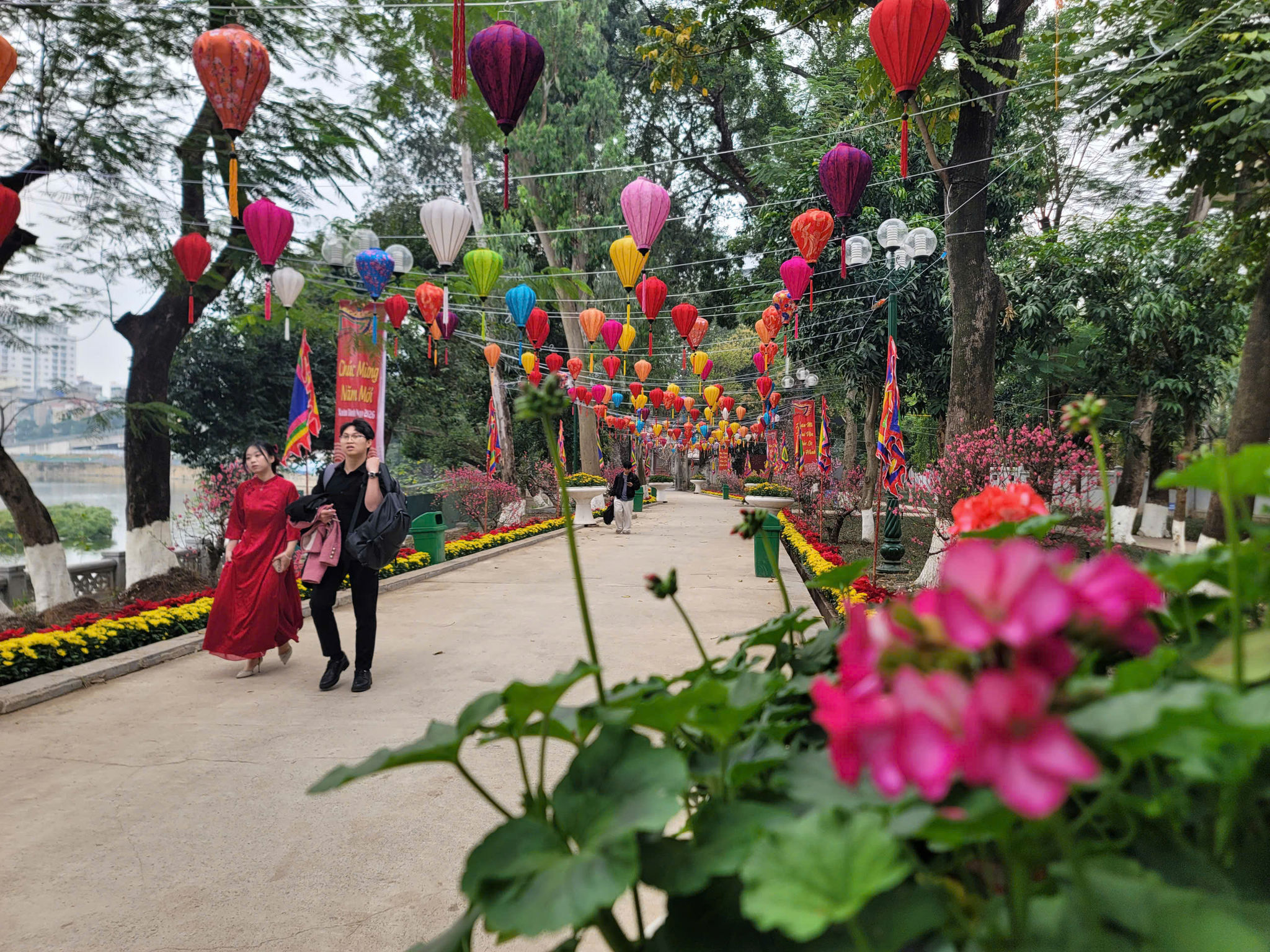giang-vo3.jpg