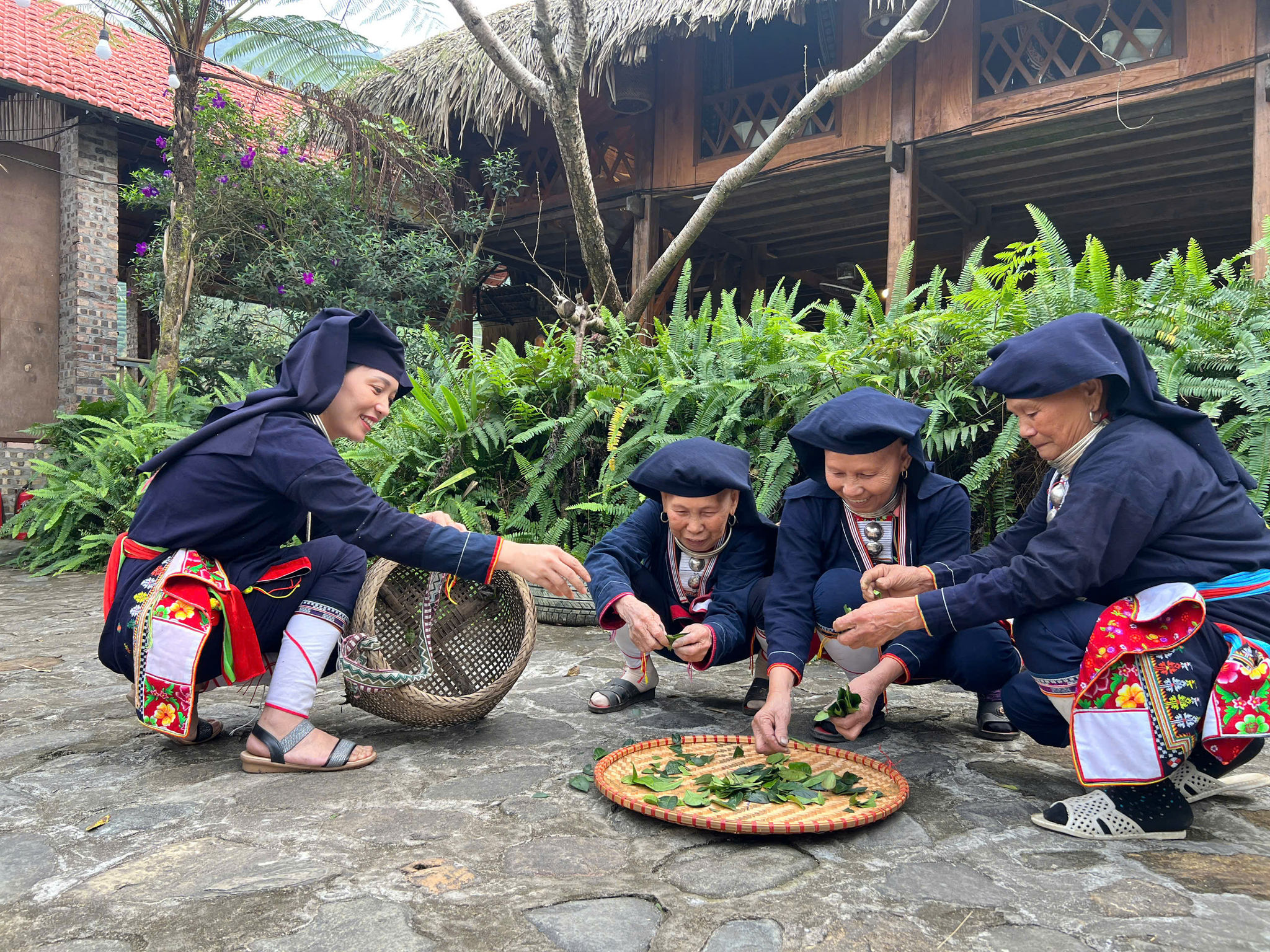 Cuộc thi hái tra tại homestay anh Bàn Văn Linh vào ngày 4 Tết thu lại thành quả là niềm vui của người dân địa phương và du khách. Ảnh: Bảo Hân
