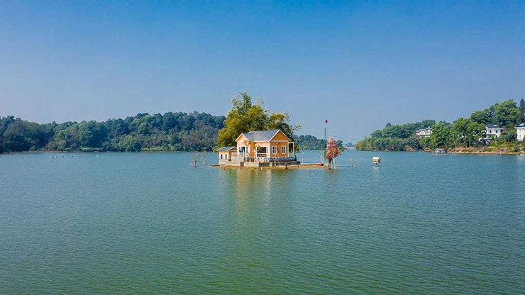 doai-phuong-dmo-.jpg