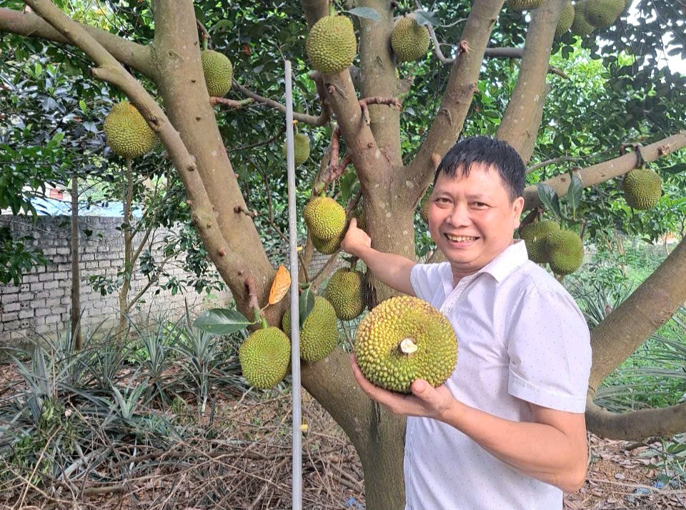 doai-phuong-mit(2).jpg