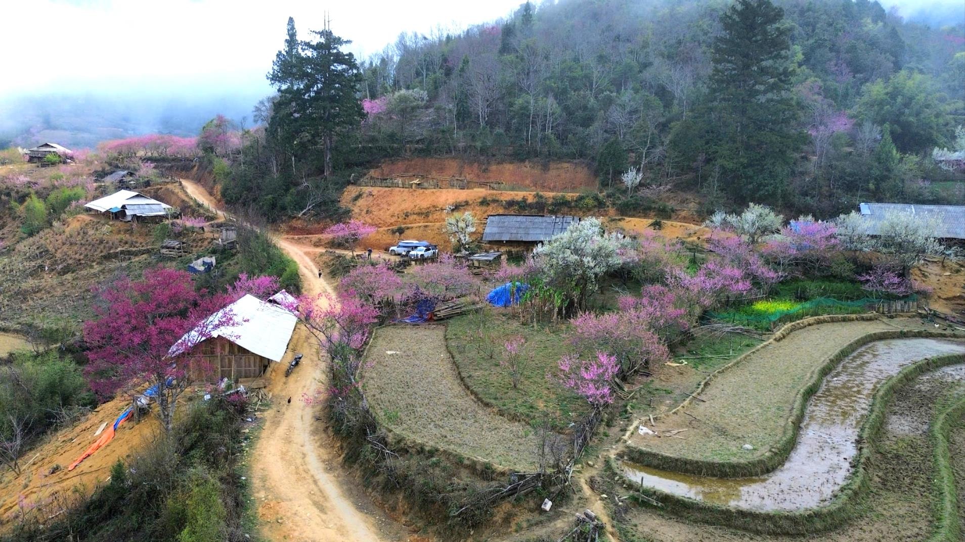 lung-cung.jpg