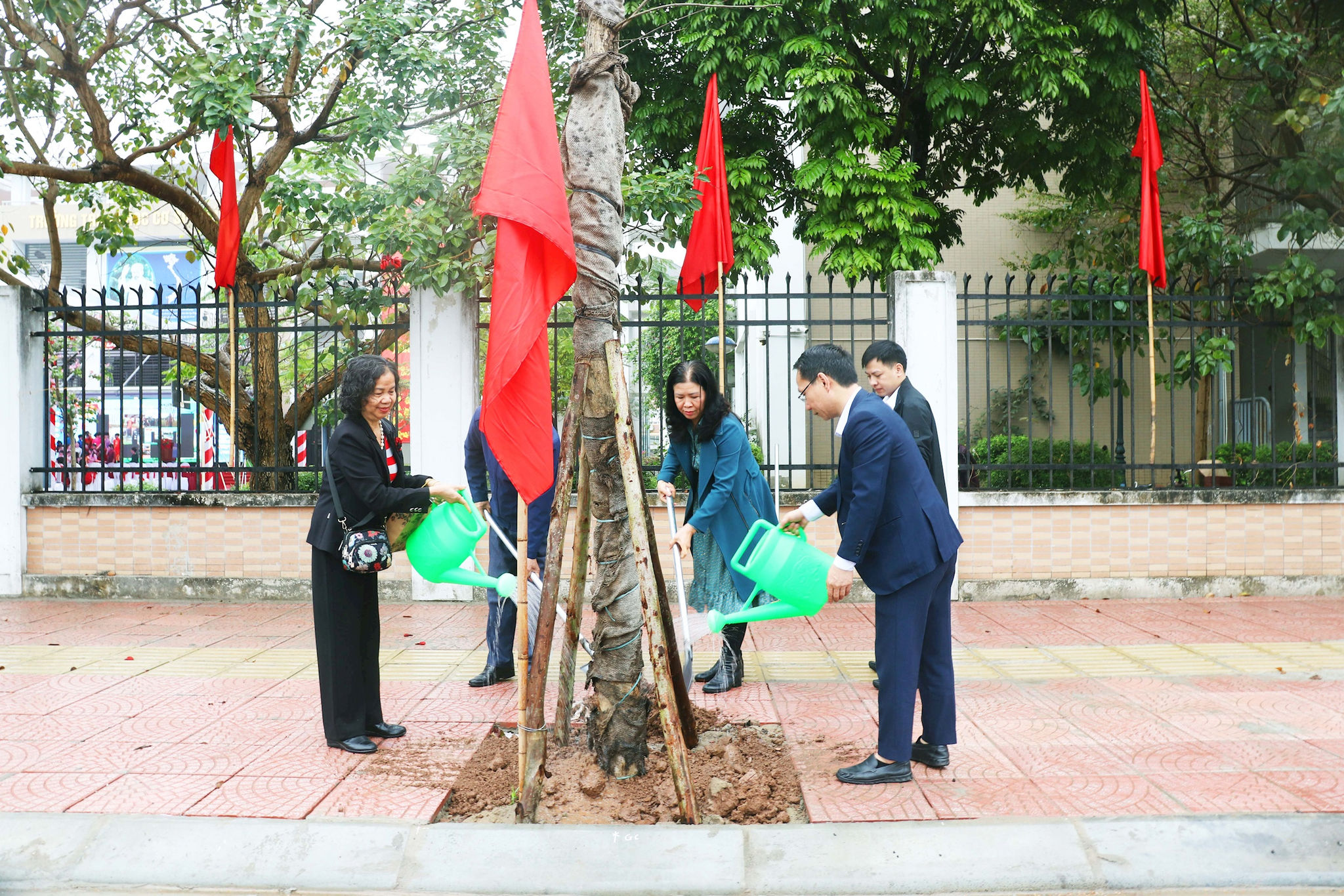 phu_dien_phat_dong_tet_trong_cay4.jpg