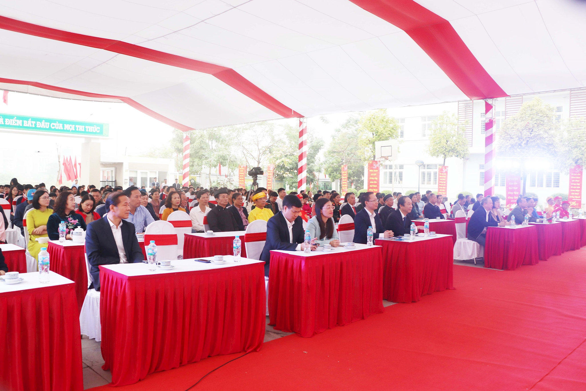 phu_dien_phat_dong_tet_trong_cay6.jpg