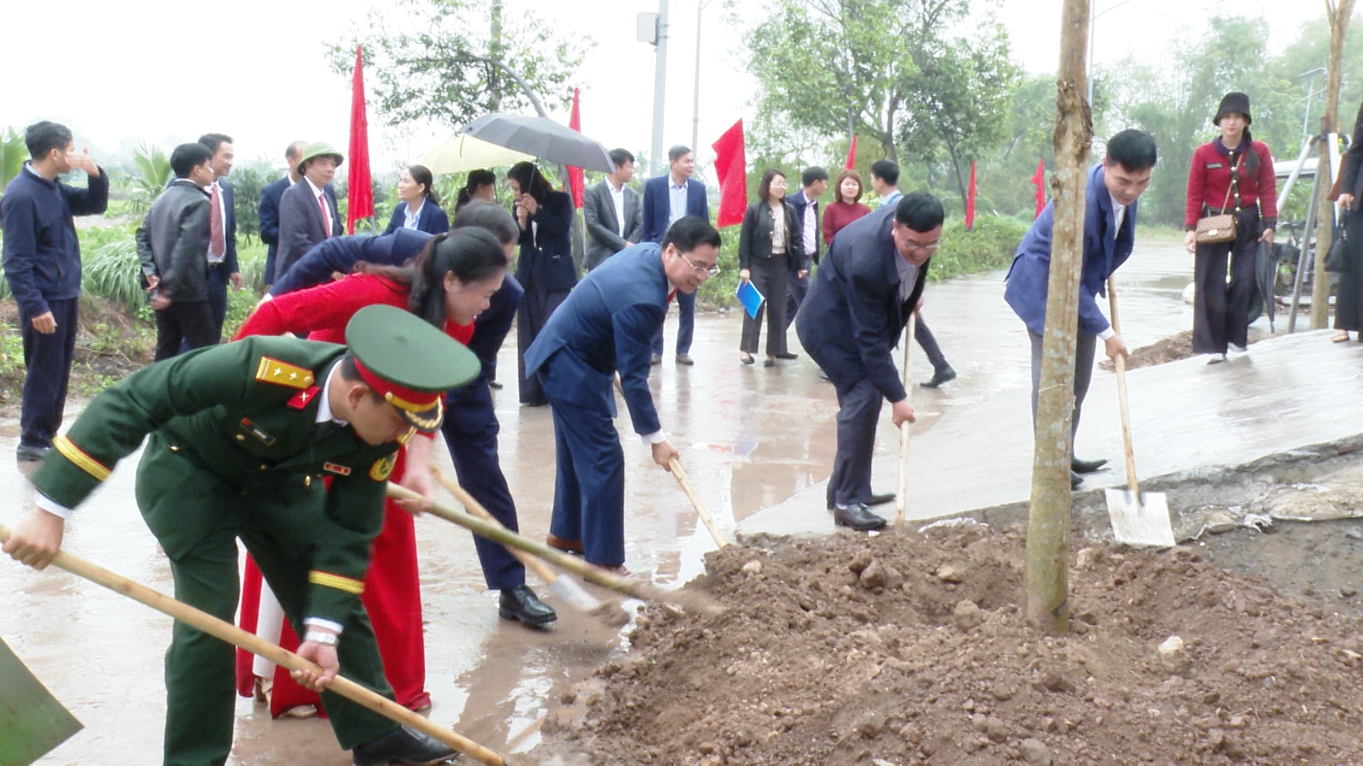 tet-tr3ong-ca46y-ung-hoa.jpg