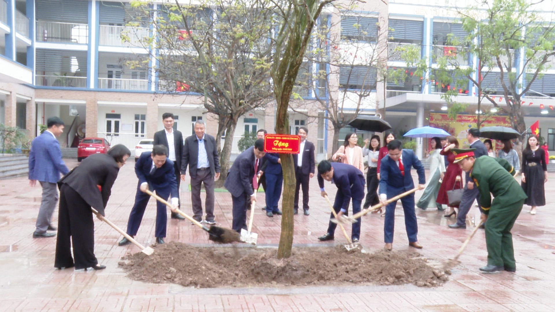 tet-tr3ong-ca4y-ung-hoa.jpg