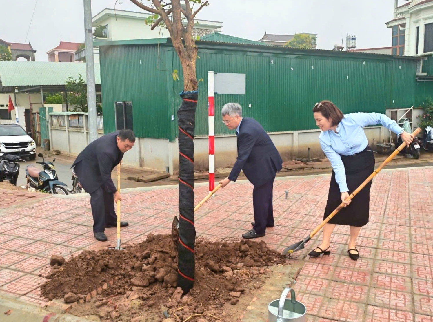 phu-dong-cay-2.jpg