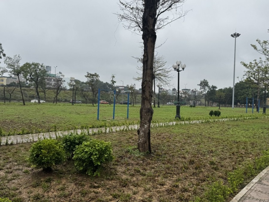 Từ một 