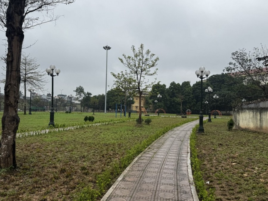 Không gian bãi đất được phủ xanh